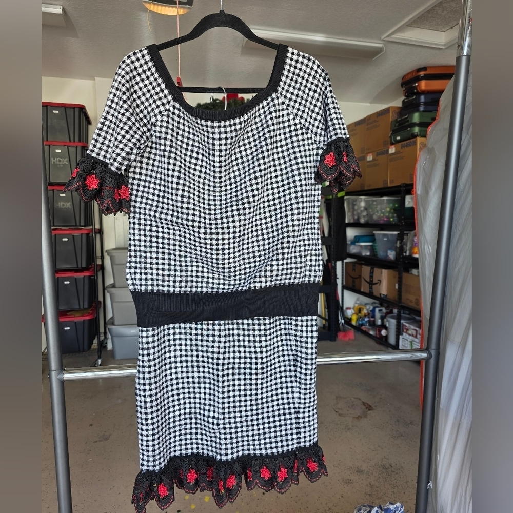7th Avenue 2 Piece Black and White Gingham Top with Red Floral Accents Skirt Set - Picture 3 of 7